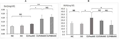 ACE2 Promoted by STAT3 Activation Has a Protective Role in Early-Stage Acute Kidney Injury of Murine Sepsis